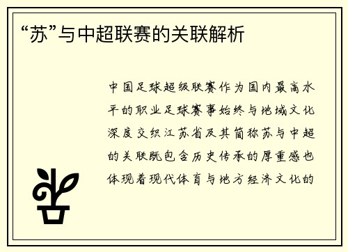 “苏”与中超联赛的关联解析